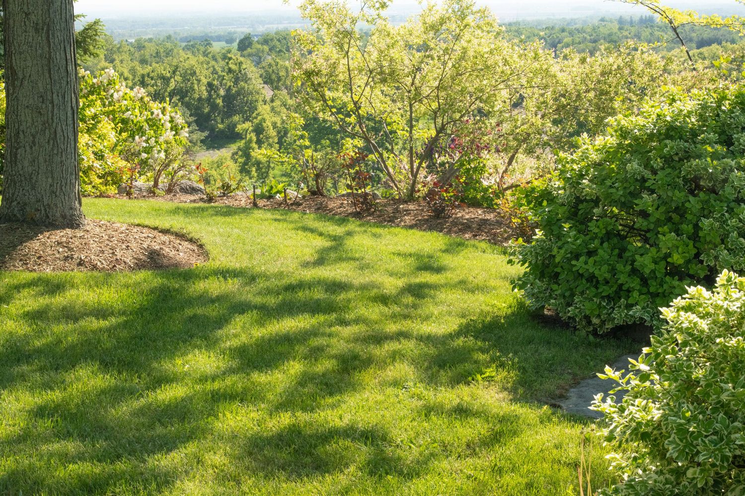 Lawn Care